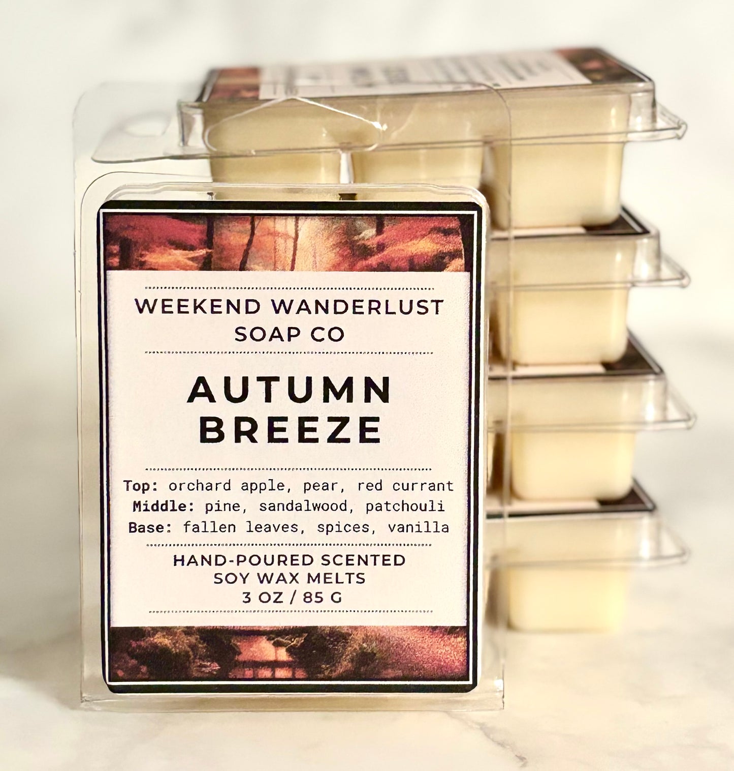 Autumn-Winter Soy Wax Melts - Tarts