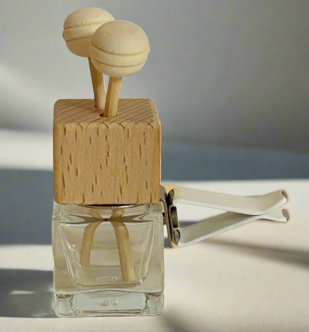 Elegant Car Fragrance Oil Mini Diffuser - Winter Fragrances