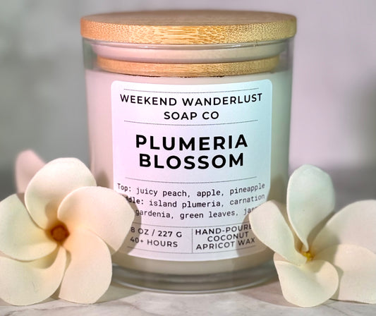 Plumeria Blossom | Clear Glass Apricot Coconut Candles