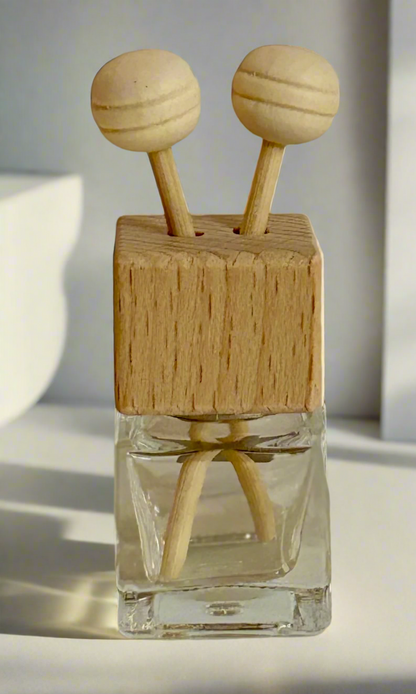 Elegant Car Fragrance Oil Mini Diffuser - Winter Fragrances