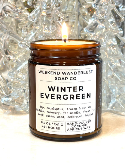 Winter Evergreen | Amber Glass Apricot Coconut Wax Candles